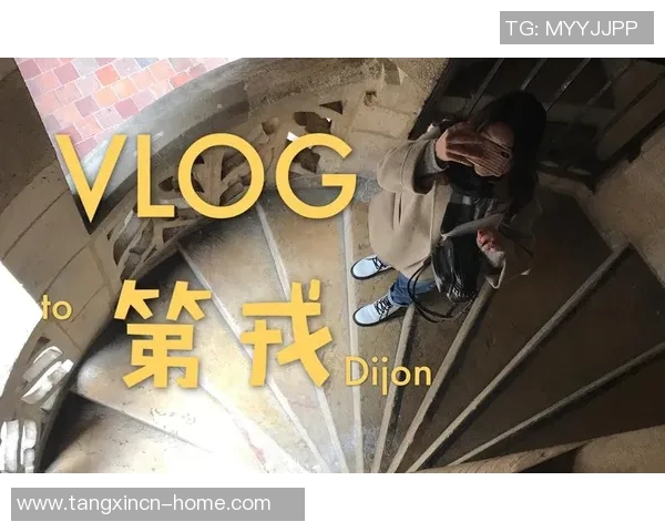 18款禁用软件app糖心vlog-探寻糖心vlog中消失的十八款软件App的体验和挑战-18款禁用软件app糖心vlog